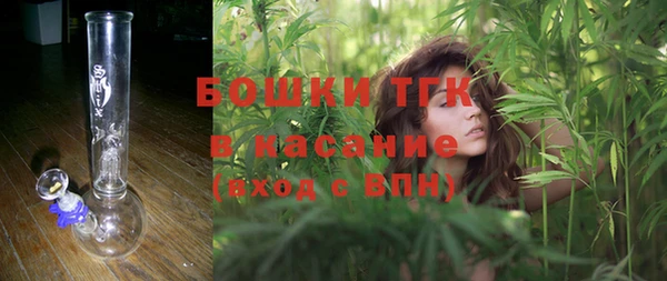 винт Ессентукская