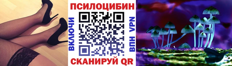закладки  Первоуральск  OMG   Псилоцибиновые грибы GOLDEN TEACHER 